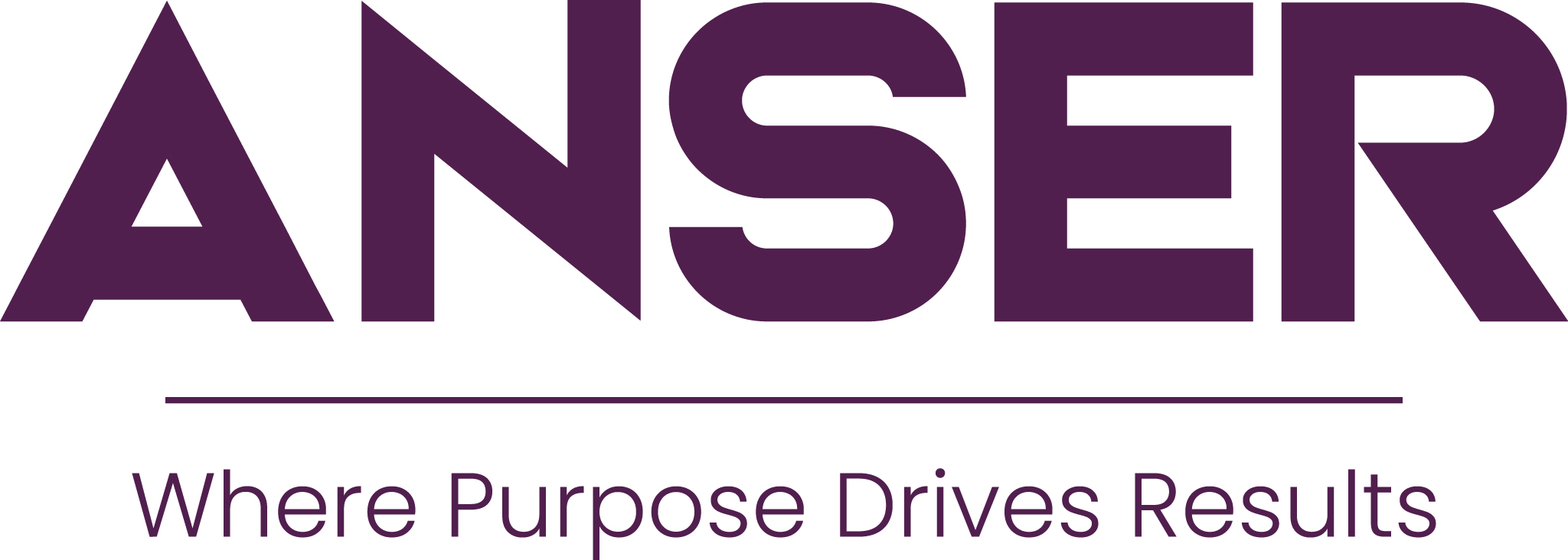 ANSER Logo